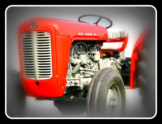 T fe 35 320 placa de identificación para tractor Massey Ferguson